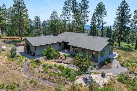 1523 Silver Mesa Driveway Durango CO 81301