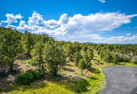 Photo of 9 Pointe Escape Drive, Ridgway, CO 81432 (MLS # 836325)