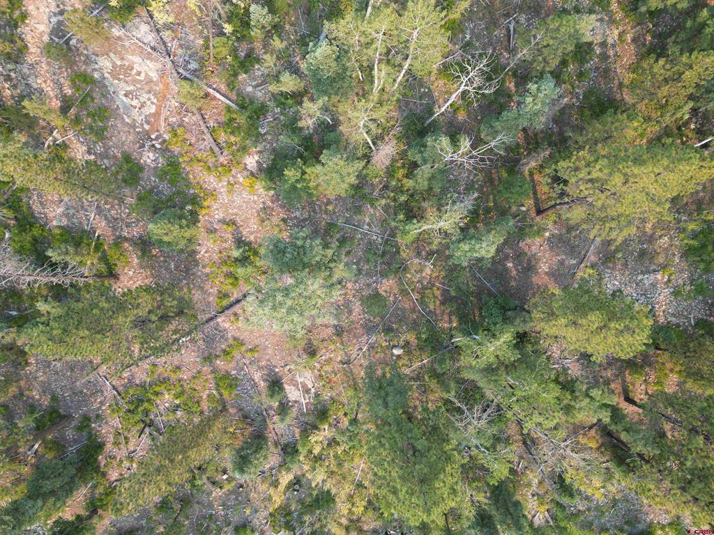 48 Ponderosa Way