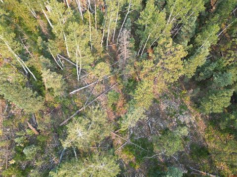 48 Ponderosa Way Durango CO 81301