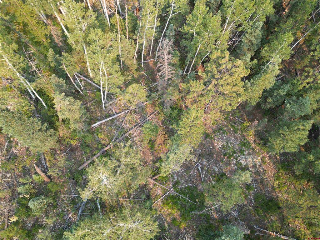 48 Ponderosa Way