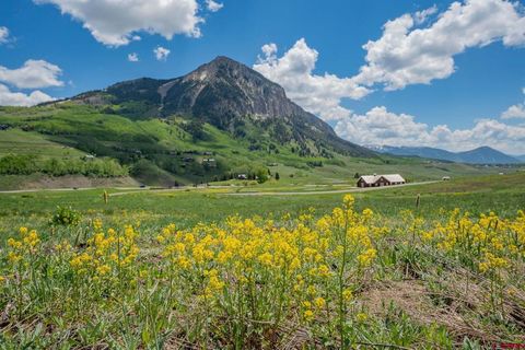 375 Saddle Ridge Ranch Road Crested Butte CO 81224