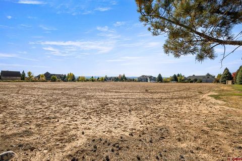 Photo of 2 6260 Road, Montrose, CO 81403 (MLS # 830144)