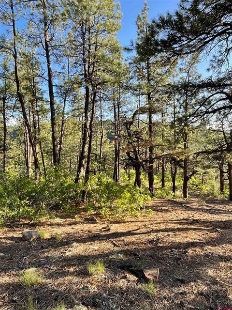 TBW W HWY 160 Durango CO 81301