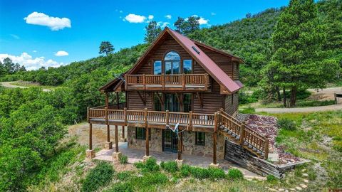1001 Soaring Eagle Court Chromo CO 81128