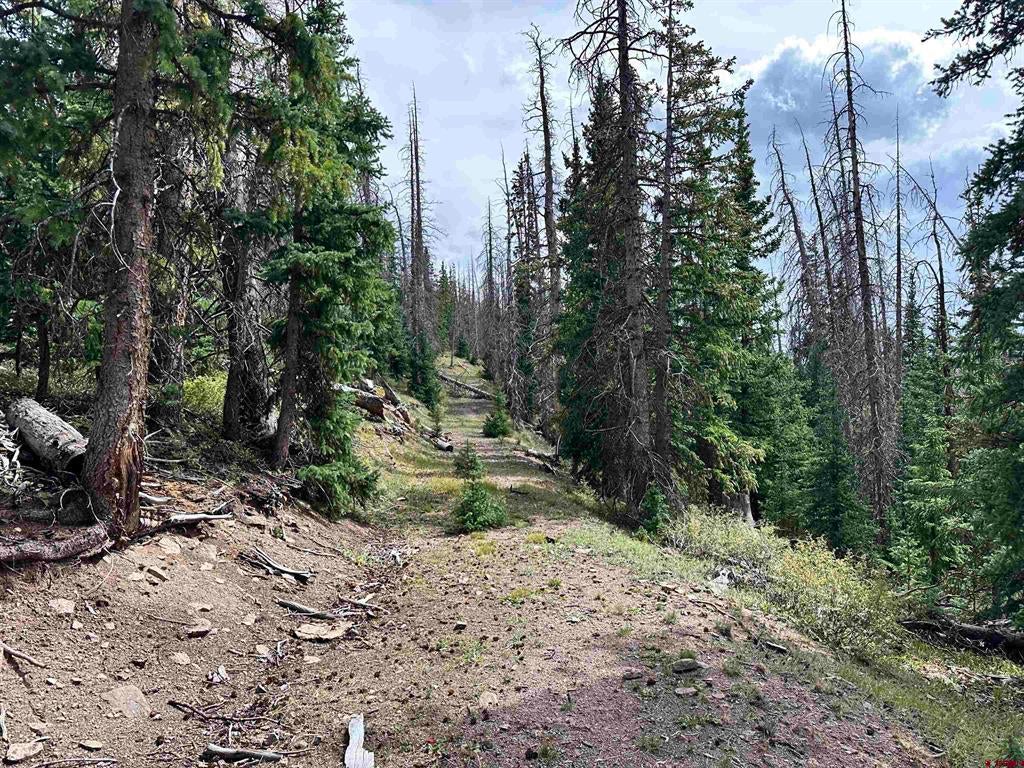 Gold Standard Sawmill Gulch Road