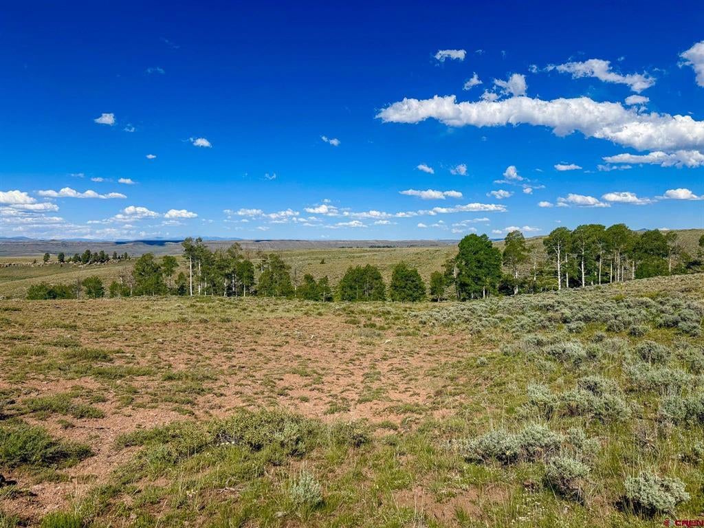 TBD County Road 25 Road