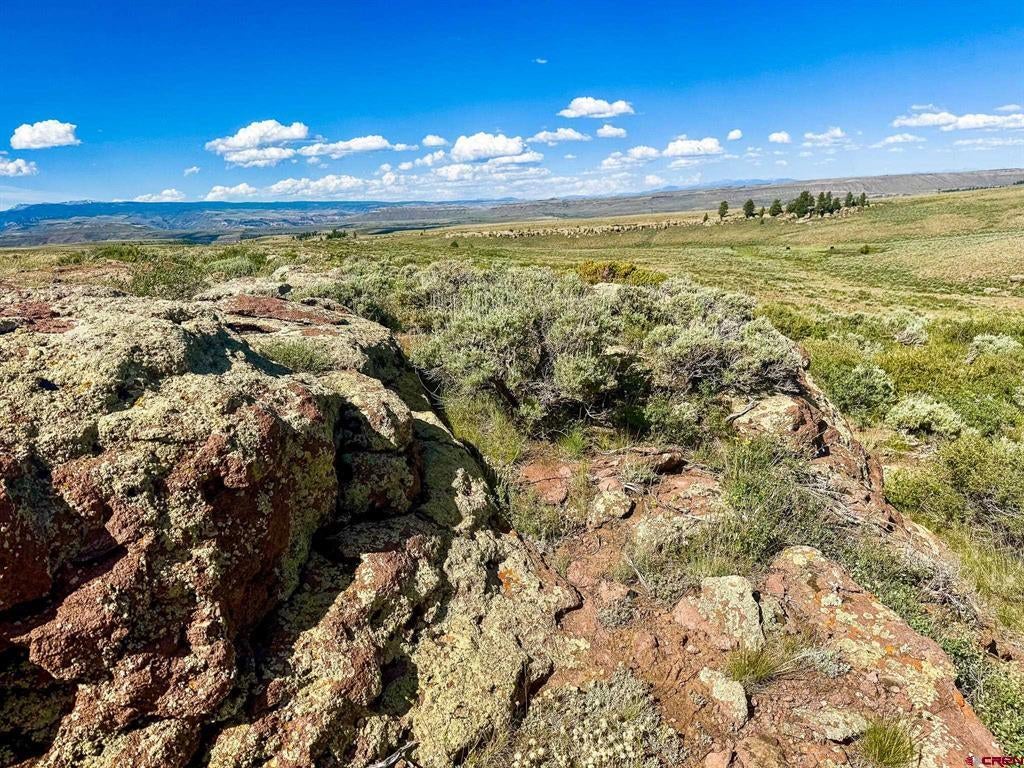 TBD County Road 25 Road