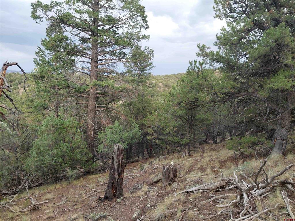 Photo 1 of 6 — 222 Sunrise Road, South Fork, CO 81154