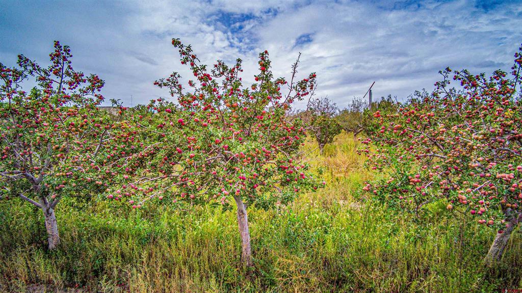 5211 Bloomfield Highway