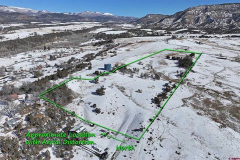 58798 Delores Drive Collbran CO 81624