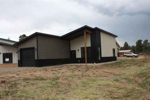 Photo of 17 Lancer Court, Pagosa Springs, CO 81147 (MLS # 832097)