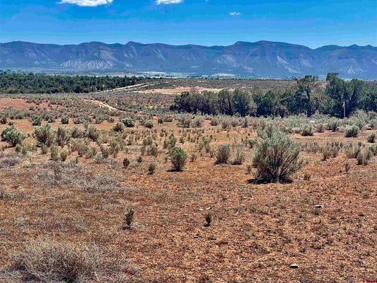 4 E RODEO DR, TOWAOC, CO 81334 - Image c5b5074dbb7ad5b4e37cc659368e63b5/1027630002