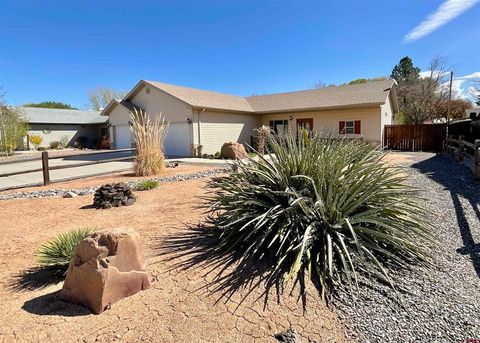 Photo of 338 6410 Court, Montrose, CO 81403 (MLS # 830864)