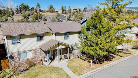 229 Jenkins Ranch Road D Durango CO 81301