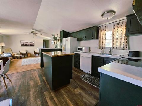 Photo of 279 Winding Trl, Ridgway, CO 81432 (MLS # 828809)
