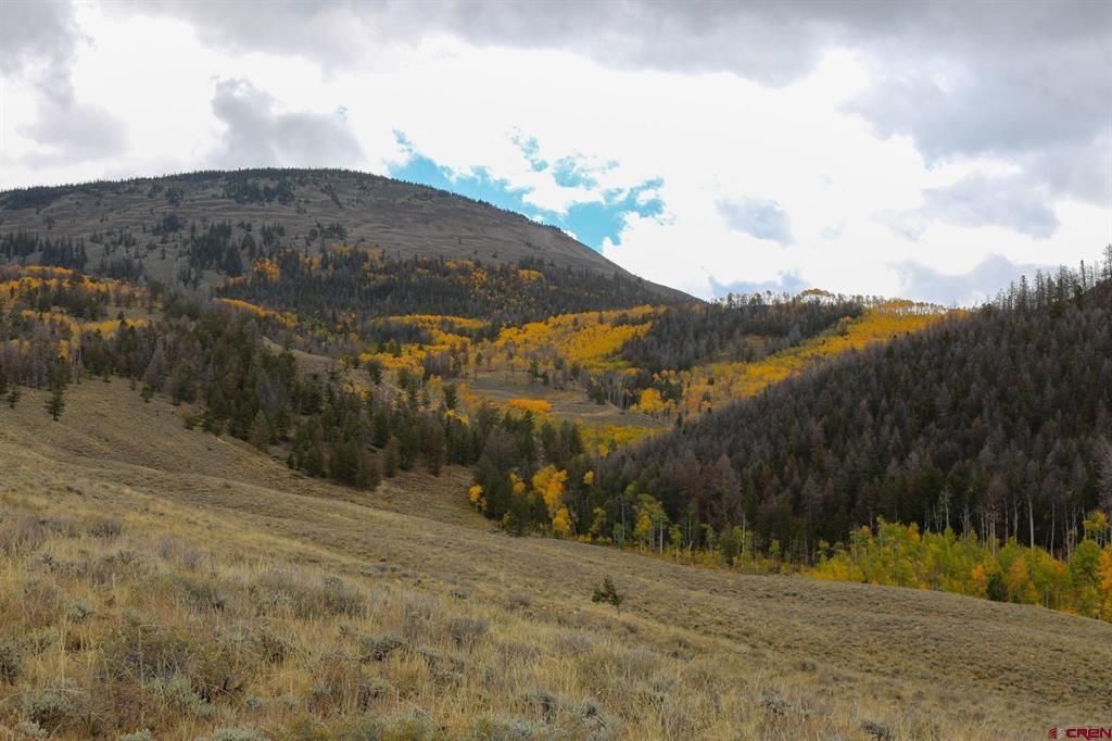 TBD County Road 763