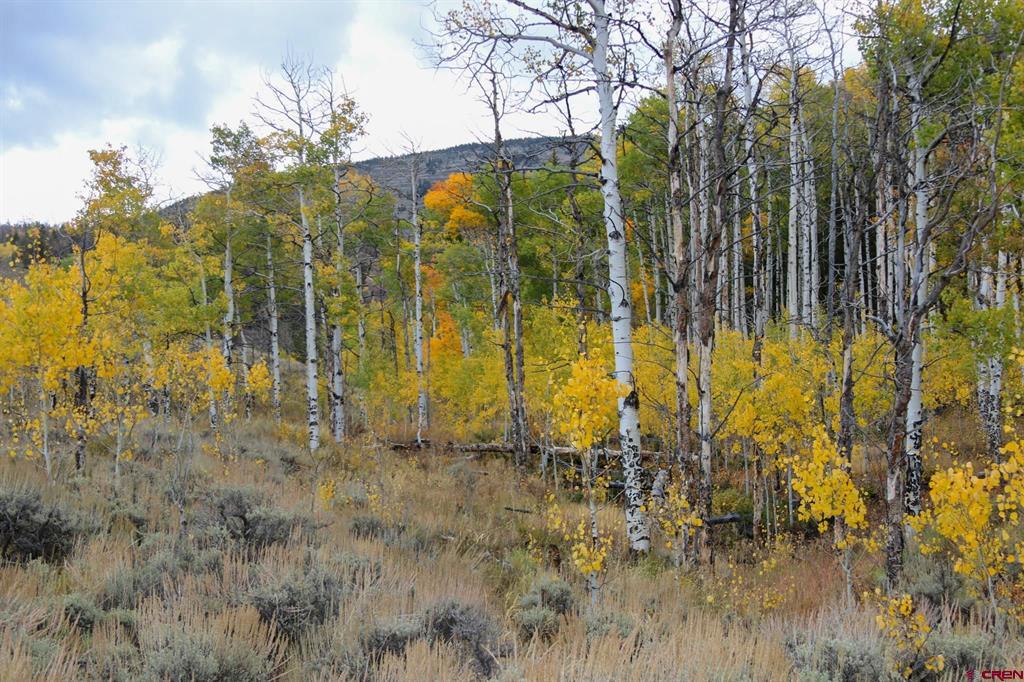 TBD County Road 763
