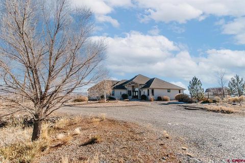 Photo of 59078 Grandpas Trail, Olathe, CO 81425 (MLS # 830427)