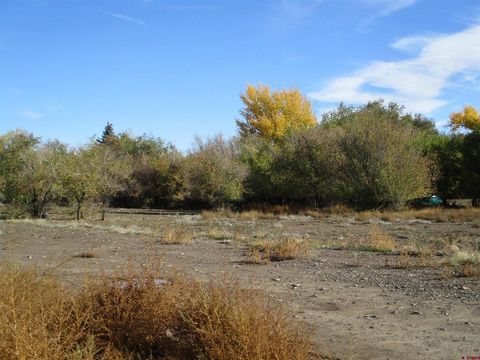 TBD 3rd Common Delta CO 81416