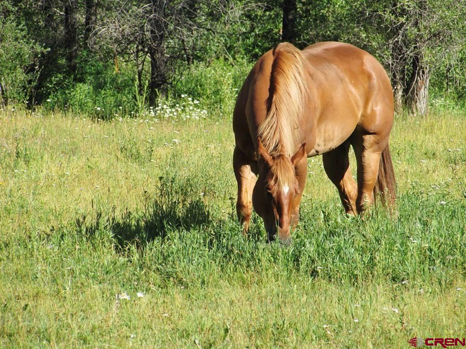 28960 County Road 38