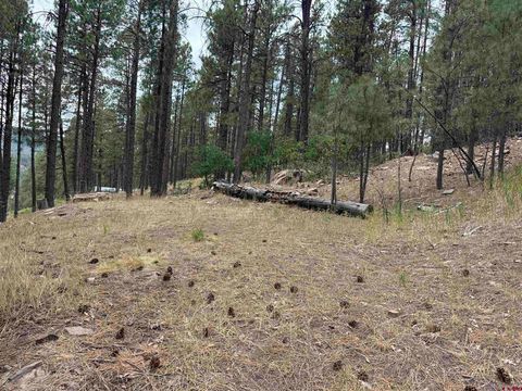 421 Forest Lakes Dr Bayfield CO 81122