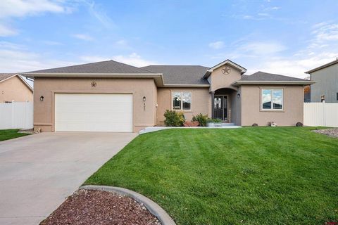 427 Lodgepole Circle Parachute CO 81635