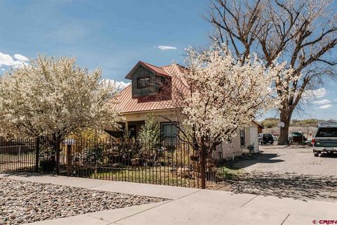 Photo of 531 Columbia St, Delta, CO 81416 (MLS # 833416)
