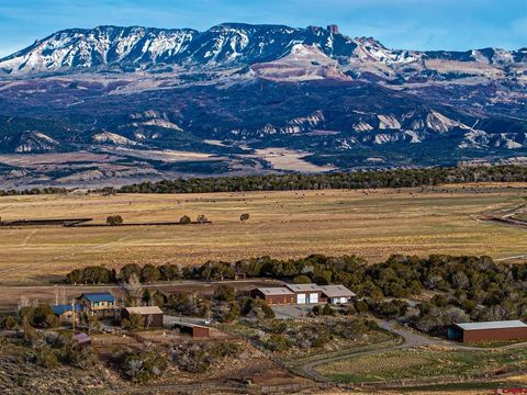 Photo of 2741 7750 Road, Crawford, CO 81415 (MLS # 830278)