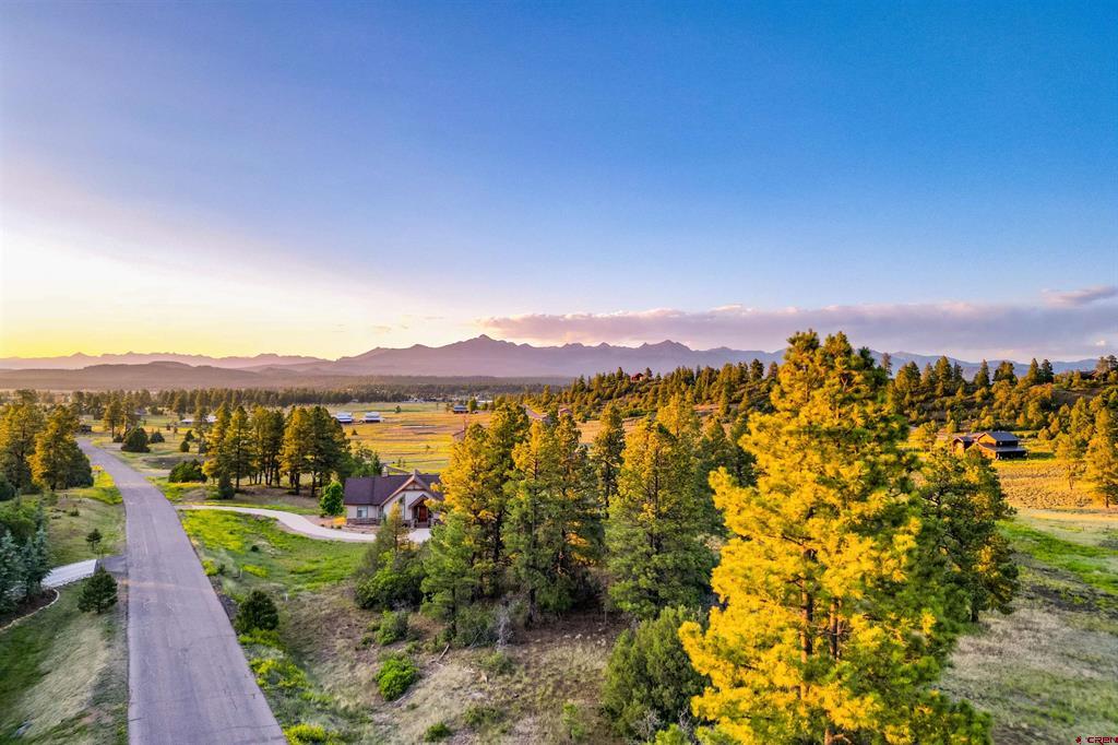 350 Bristlecone Drive