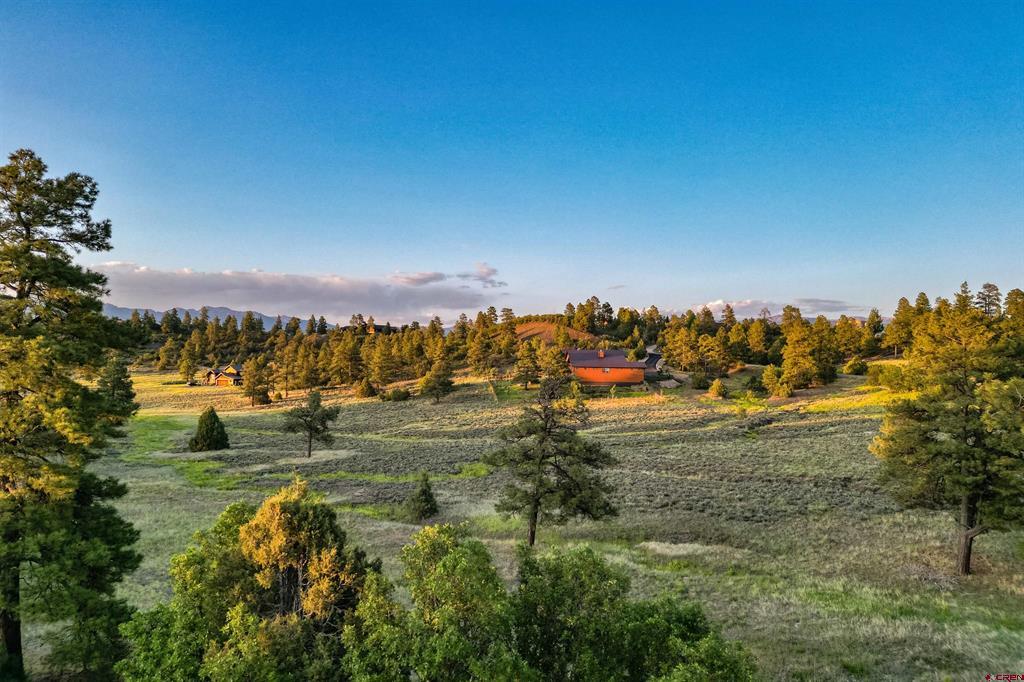 350 Bristlecone Drive