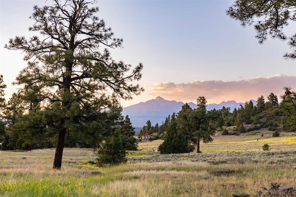 350 Bristlecone Drive