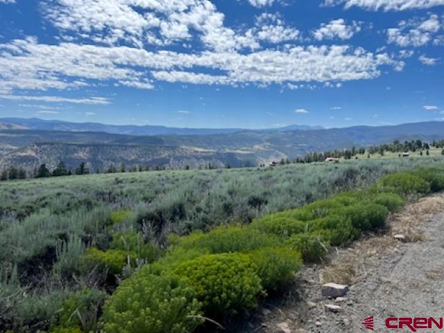 924 Cinnamon Trail