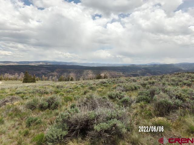 924 Cinnamon Trail