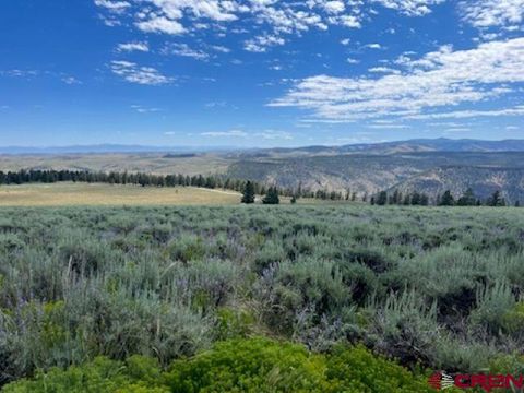 924 Cinnamon Trail Powderhorn CO 81243