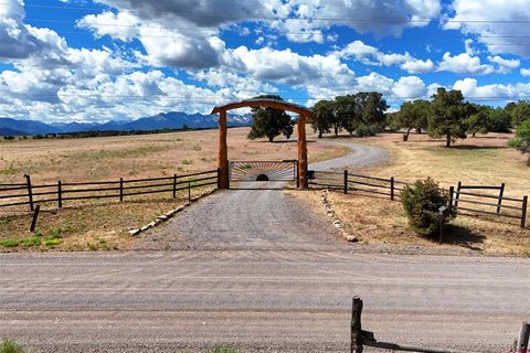 Photo of 371 CR 1A, Montrose, CO 81403 (MLS # 836674)