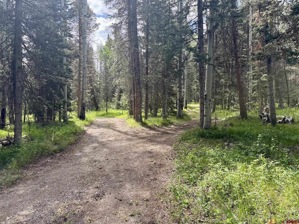 425 Aspen Trail
