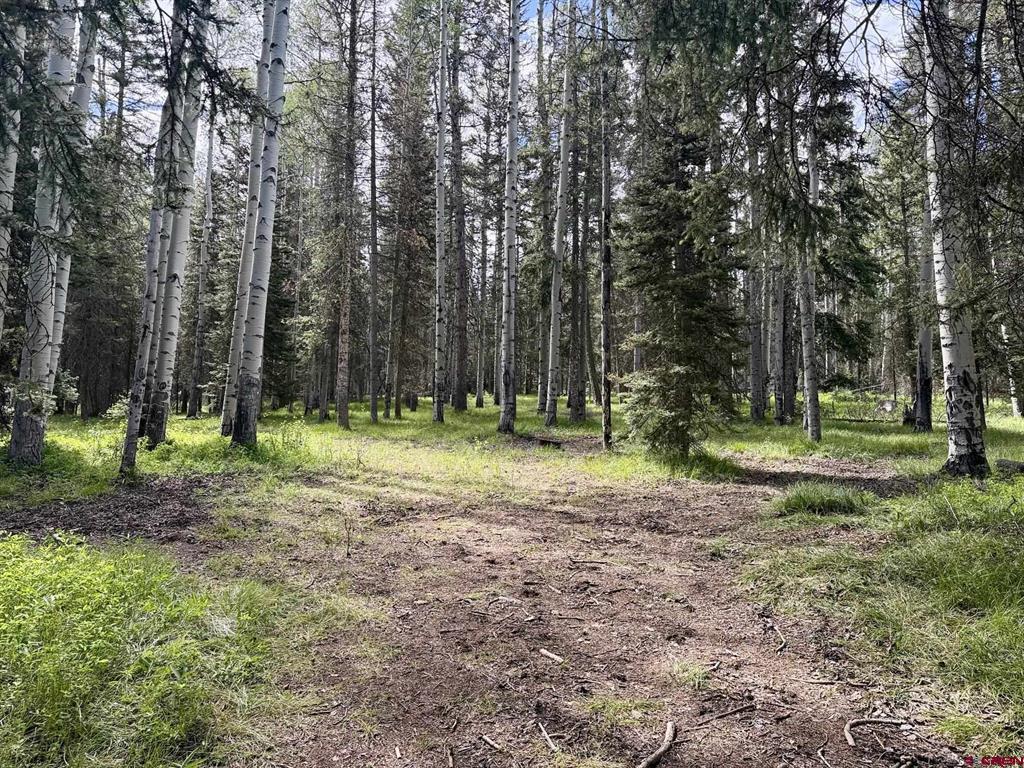 425 Aspen Trail