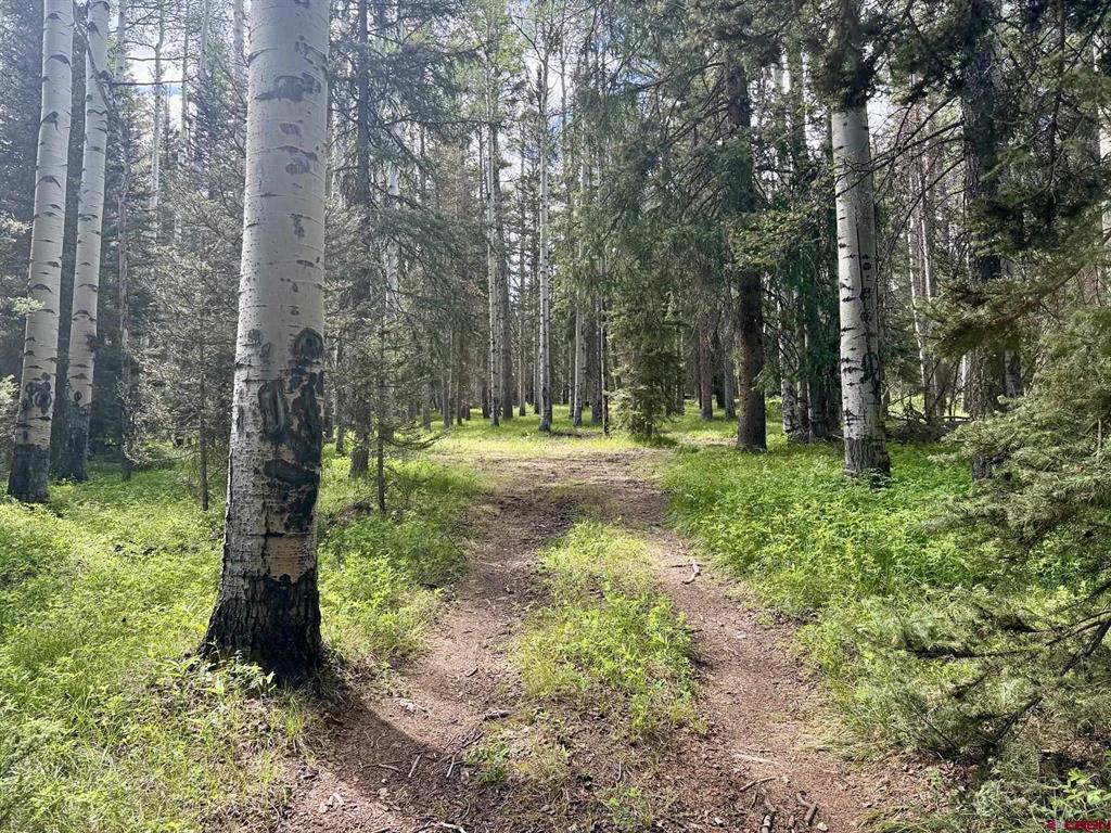 425 Aspen Trail
