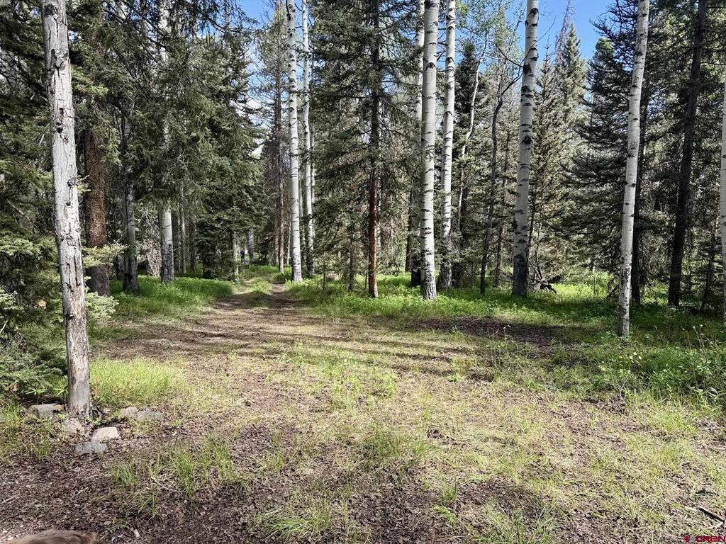 Photo 1 of 15 — 425 Aspen Trail, Cimarron, CO 81220