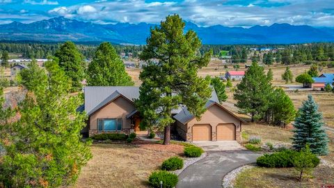 1468 Cool Pines Drive Pagosa Springs CO 81147