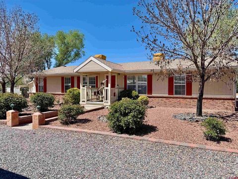 Photo of 10469 Highway 65, Austin, CO 81410 (MLS # 833975)