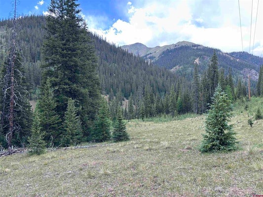 COUNTY RD 110, SILVERTON, CO 81433 - Image ca820d647a5fed6985b80f2e3008b3a2/494834671