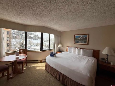 6 Emmons Road 422 Mt. Crested Butte CO 81225