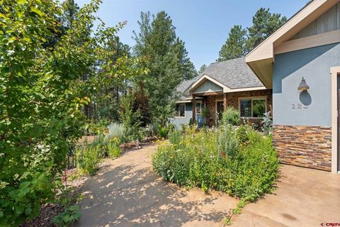 123 Big Bend Court Durango CO 81301