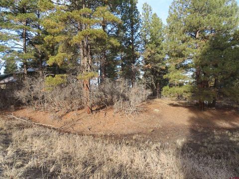 195 Handicap Avenue Pagosa Springs CO 81147