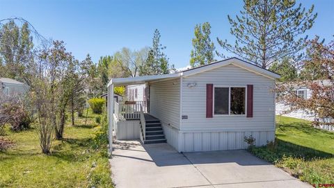 Photo of 901 6530 Road #4103, Montrose, CO 81401 (MLS # 834244)