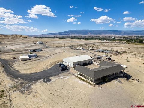 6742 2200 Road Delta CO 81416