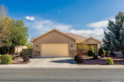 Photo of 1466 Criterion Street, Delta, CO 81416 (MLS # 833847)