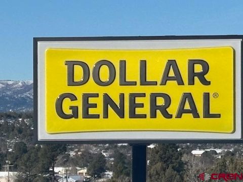 920 CR 233 Durango CO 81301